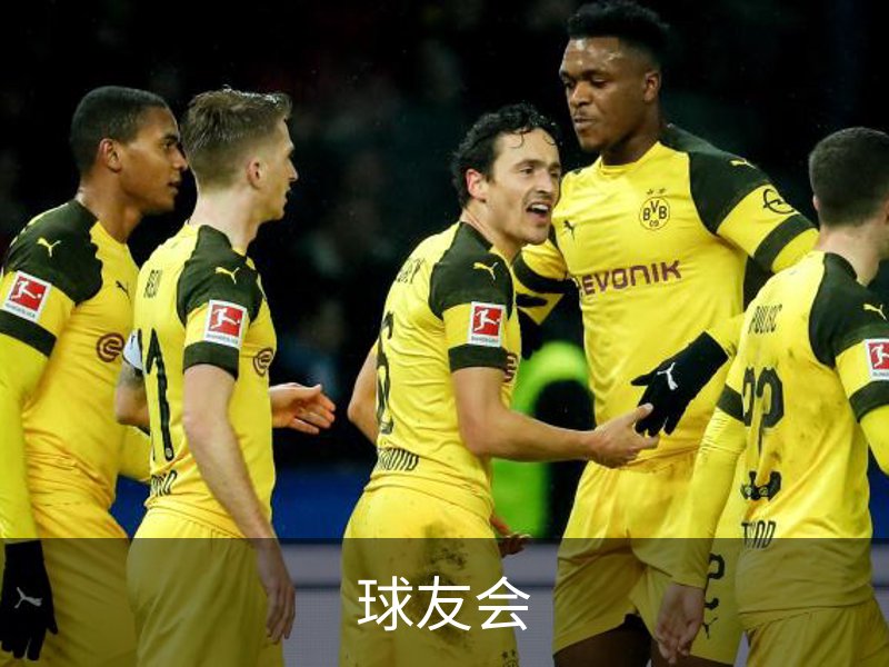 球友会品牌故事